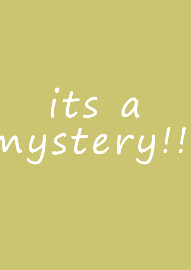 【mystery bags】